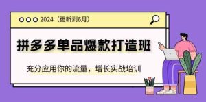 2024拼多多单品爆款打造班，充分应用你的流量，增长实战培训(更新6月)-聊项目