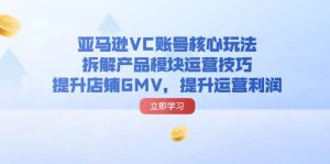 (11848期)亚马逊VC账号核心玩法,拆解产品模块运营技巧,提升店铺GMV,提升运营利润-聊项目