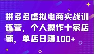 拼多多虚拟电商实战训练营,个人操作十家店铺,单店日赚100+-聊项目