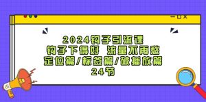 （12097期）2024钩子·引流课：钩子下得好 流量不再愁，定位篇/标签篇/破播放篇/24节-聊项目