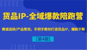 货品IP-全域爆款陪跑营【第4期】赛道选择/产品策划,手把手教你打造货品IP,爆款不断-聊项目
