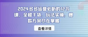 2024多多运营必听的12节课，全程干货，玩法实操，爆款方案尽在掌握-聊项目