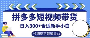 拼多多短视频带货日入300+，实操账户展示看就能学会-聊项目