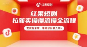 红果短剧拉新实操全流程，发就有米拿，单账号月收入几k-聊项目