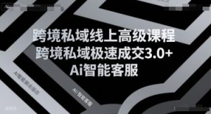 跨境私域线上高级课程，跨境私域极速成交3.0+Ai智能客服-聊项目