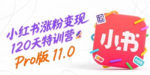 小红书涨粉变现120天特训营Pro版11.0：从0到1掌握平台运营,内容制作和变现-聊项目