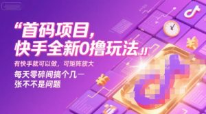首码项目，快手全新0撸玩法，有快手就可以做，可矩阵放大，每天零碎时间搞个几张不是问题【揭秘】-聊项目