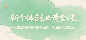 新个体创业黄金课,7天构建可持续赚钱系统,抢占2025红利-聊项目