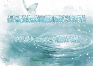 最新剑灵巅峰服游戏搬砖,项目红利期,单机稳定4000+操作简单好上手-聊项目