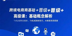 跨境电商基础+晋级+高级课：基础概念解析,Tk私域涨粉技巧,AI客服系统搭建-聊项目