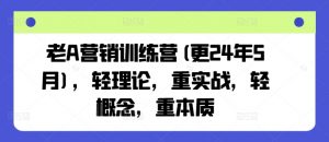老A营销训练营(更25年7月),轻理论,重实战,轻概念,重本质-聊项目