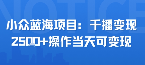 小众蓝海项目，千播变现2.5k+操作当天可变现-聊项目
