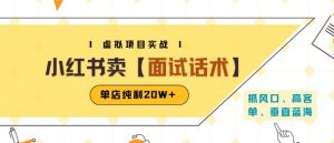 小红书虚拟项目掘金,卖面试话术资料,单店纯利20W+(附爆款笔记制作方法)-聊项目