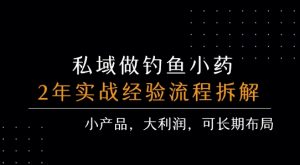 私域做钓鱼小药 每单利润3张+ 详细流程拆解-聊项目