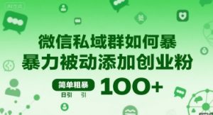 微信私域群如何暴力被动添加创业粉，简单粗暴，日引100+-聊项目