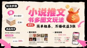 小说推文小红书多图文玩法，简单粗暴，万播收益3张-聊项目