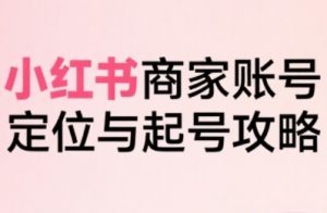 小红书电商全链路实战从定位到爆单，系统拆解小红书商家起号全流程-聊项目