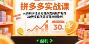 拼多多实战课：从高利润选品到自然流高投产起爆 30天实现低风险可持续盈利-聊项目