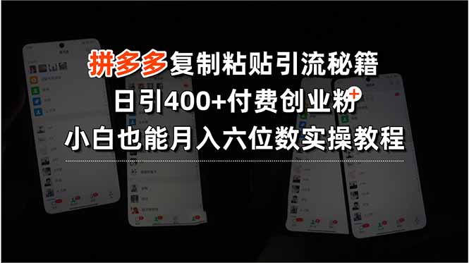 拼多多复制粘贴引流秘籍，日引400+付费创业粉，小白也能月入六位数实操…-聊项目