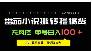 番茄小说创作人搬砖赚稿费，无风控单号日入100＋，小白轻松掌握，可矩…-聊项目