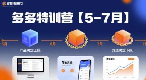 多多特训营【5-7月】产品决定上限，方法决定下限，各种玩法技巧落地实操-聊项目