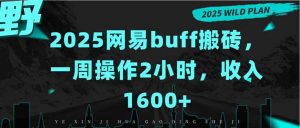 2025网易buff搬砖，一周操作2小时，收入1600+-聊项目
