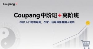 Coupang中阶班+高阶班，0到1入门跨境电商，在家一台电脑挣韩国人的钱-聊项目