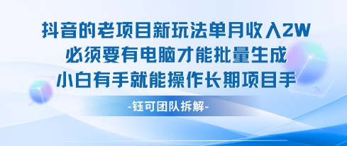 老项目新玩法单月收入2W小白有手就能操作长期项目-聊项目
