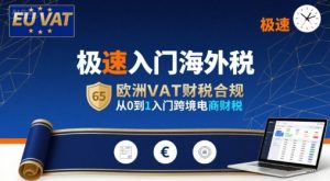 极速入门海外税，欧洲VAT财税合规，从0到1入门跨境电商财税-聊项目