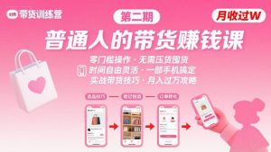 小红书带货第二期训练营，普通人月收过W的带货课，时间自由，零门槛无压货，一部手机即可操作-聊项目