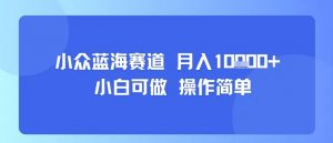 小众蓝海赛道,小白可做,操作简单,每天30分钟,月入1W+-聊项目