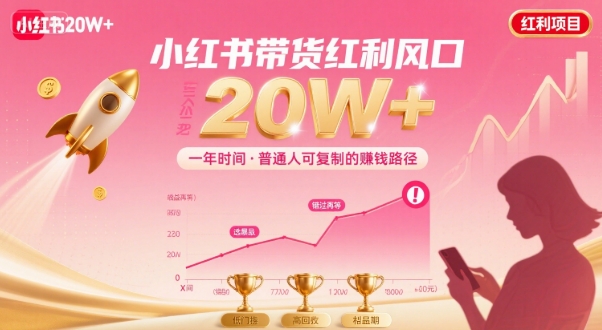 一年时间靠小红书带货项目年入20w+，最不能错的大红利项目-聊项目
