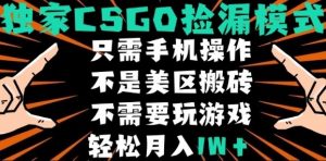 CSGO自动捡漏项目，最新独家玩法，不是美区搬砖，不需要了解和玩游戏，新手小白轻松月入1W+【揭秘】-聊项目
