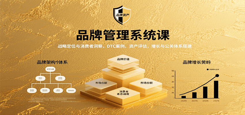 品牌管理系统课：战略定位与消费者洞察，DTC案例、资产评估，增长与公关体系搭建-聊项目
