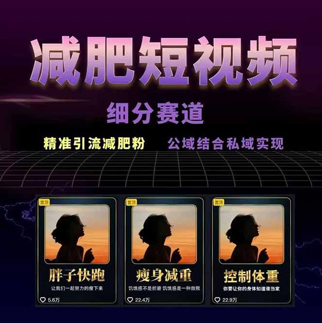 图片[1]-减肥短视频赛道运营课：素材准备-视频制作-引流变现全流程 (附素材-聊项目