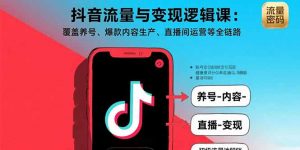 抖音流量与变现逻辑课：覆盖养号、爆款内容生产、直播间运营等全链路-聊项目