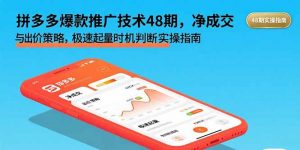拼多多爆款推广技术48期，净成交与出价策略，极速起量时机判断实操指南-聊项目