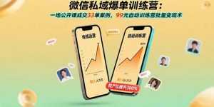 微信私域爆单训练营:一场公开课成交33单案例,99元自动训练营批量变现术-聊项目