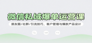 微信私域爆单运营课:朋友圈/社群/引流技巧,客户管理与爆款产品设计-聊项目
