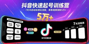 抖音快速起号训练营,7天冷启动标准化流程,单条视频涨粉5万+-聊项目