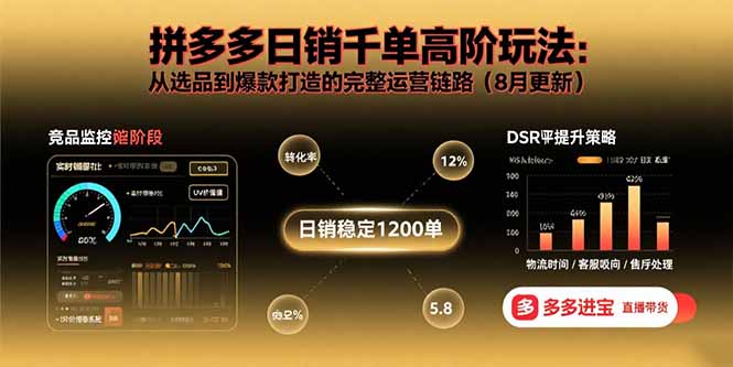 拼多多日销千单高阶玩法：从选品到爆款打造的完整运营链路(8月更新-聊项目