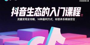 抖音生态的入门课程：流量变现全攻略，16种盈利方式，标签体系精准定位-聊项目