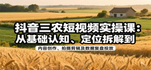 抖音三农短视频实操课:从基础认知、定位拆解到内容创作、拍摄剪辑及数据复盘投放-聊项目