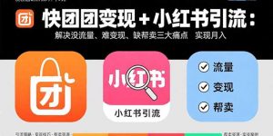 快团团变现+小红书引流：解决没流量、难变现、缺帮卖三大痛点 实现月入3w+-聊项目