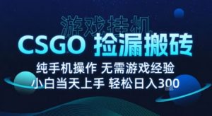 8月最新游戏搬砖，CSGO纯挂G，不需要玩游戏，实现真挂G，月入1W+【揭秘】-聊项目