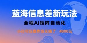 蓝海信息差新玩法，全程AI矩阵自动化小白可以操作当天搞了1k+-聊项目