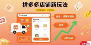 拼多多店铺新玩法,代发供应链上拼玩法-聊项目