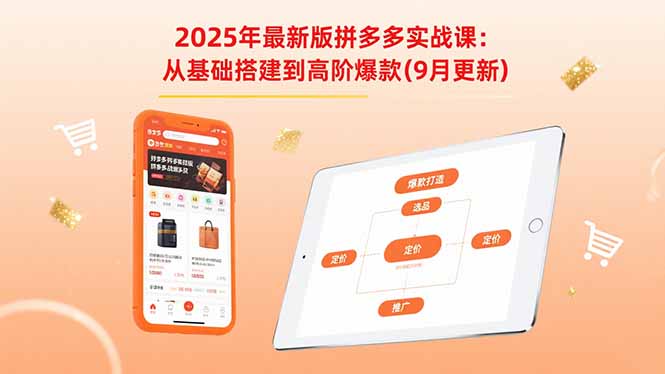 2025年最新版拼多多实战课：从基础搭建到高阶爆款(9月更新-聊项目