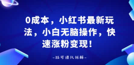 0成本，小红书最新玩法，小白无脑操作，快速涨粉变现-聊项目