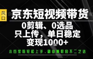 你出账号,我来运营,保底日入1k+,开启躺賺模式【揭秘】-聊项目